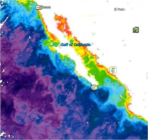 Satellite image of phytoplankton blooms along the Mexican coastline, March 2009.  The Ilsa Cedros bloom is halfway down the Baja peninsula on the west side, the Cabo Corrientes bloom is the red area in the lower right corner of the image.