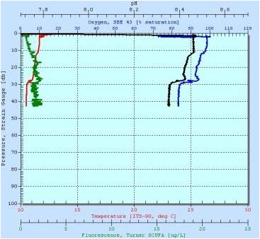 CTD profile from L4 east.