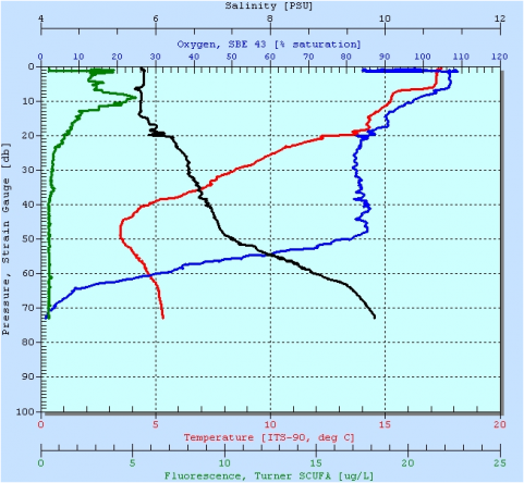 CTD profile from Landsort deep.