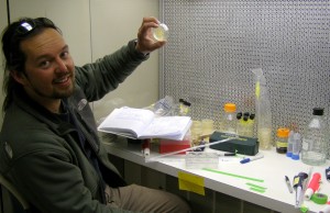 Mak in the Crary lab looking at some of Dawn's psychrophilic bactera