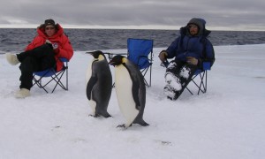 Beach chair moment: Jeff and Brian wait for our filters while penguins walk about and survey our work