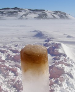 An inverted ice core showing the mass of phytoplankton growing on the bottom of the ice