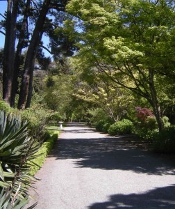 Spring in New Zealand, November 2009