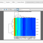 Heatmap Plot