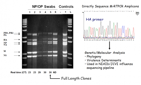 Influenza Genome Amplification Directly From Clinical Specimens