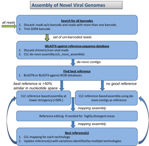 Assembly of Novel Viral Genomes