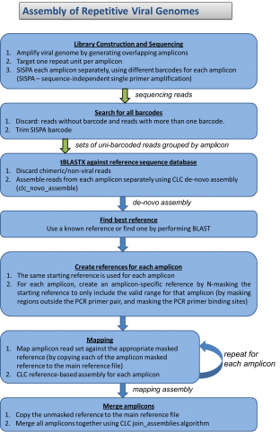 Assembly of Repetitive Viral Genomes