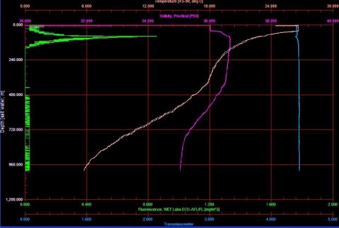 CTD Profile