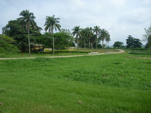 The workshop was held at IITA.