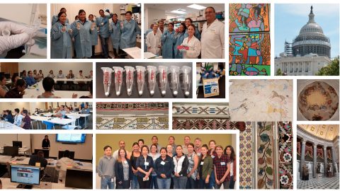 Collage from Maize Cell Genomics Workshop for Undergraduates