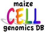 Cell Genomics Logo