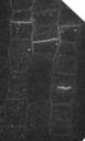 KNOLLE-YFP in root tip__2435_N_1_AL_root_KNOLLE-YFP in root tip cells.jpg